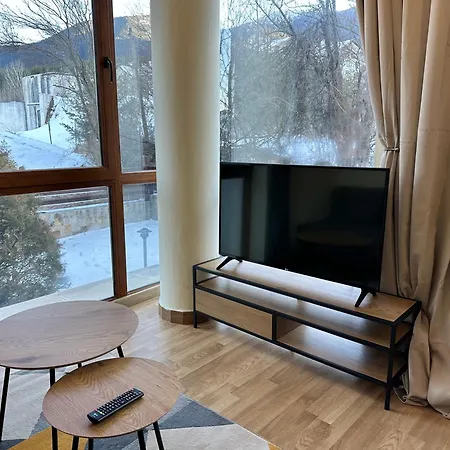 Pine Tree - Charming Apartament