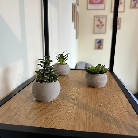 Pine Tree - Charming Apartment