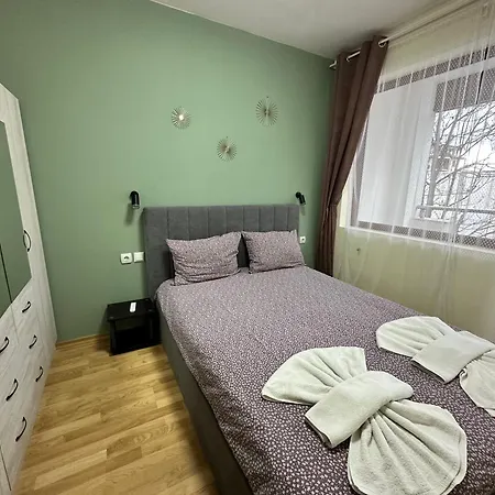 Pine Tree - Charming *