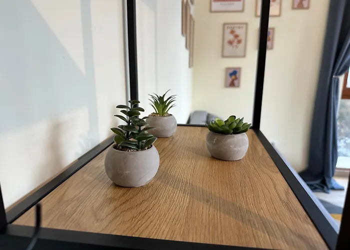 Pine Tree - Charming Apartment